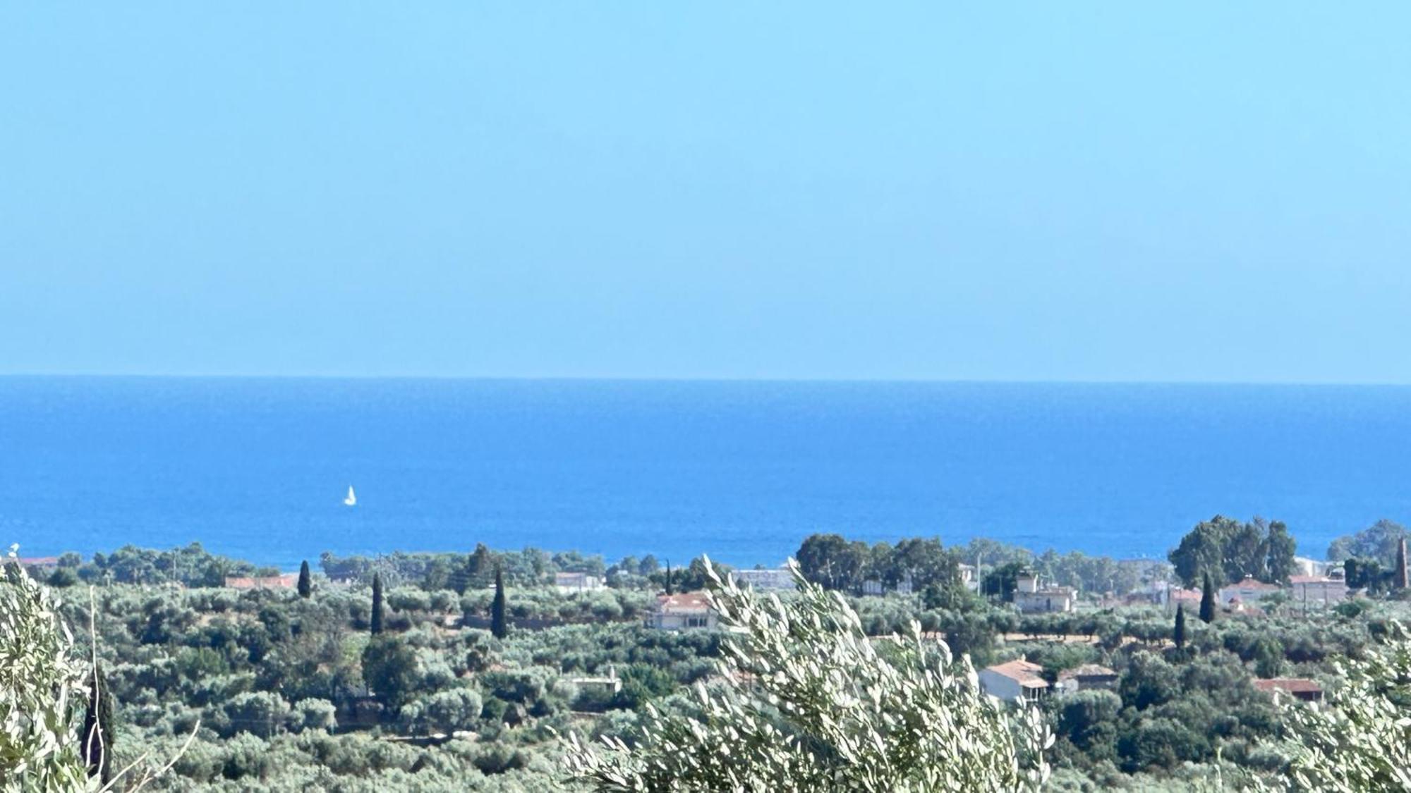 The Secret Garden At Villa Georgia Kalamata Dış mekan fotoğraf